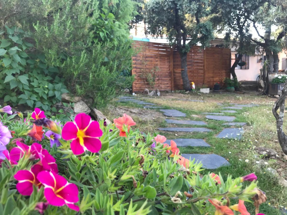 Cabana Jara Y Enebro Collado Villalba Esterno foto