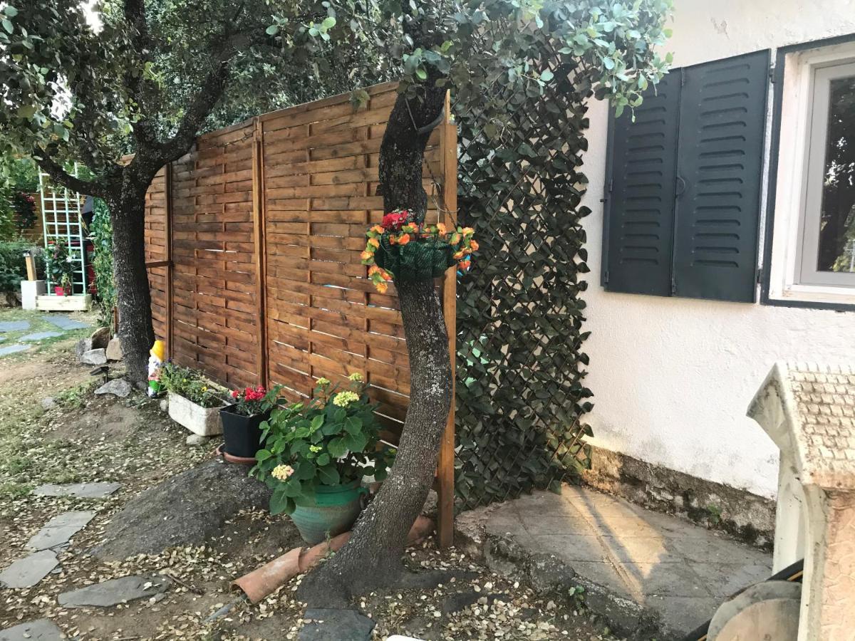 Cabana Jara Y Enebro Collado Villalba Esterno foto